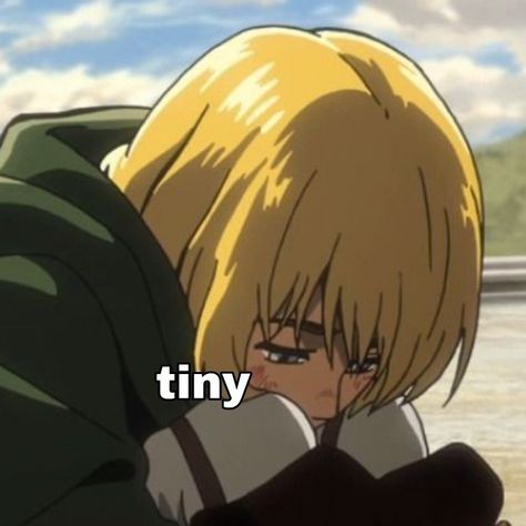 Armin tiny aot attack on titan cute meme - reaction pic - sticker whatsapp Aot Reaction Pic, Sticker Whatsapp, Reaction Pic, Attack On Titan