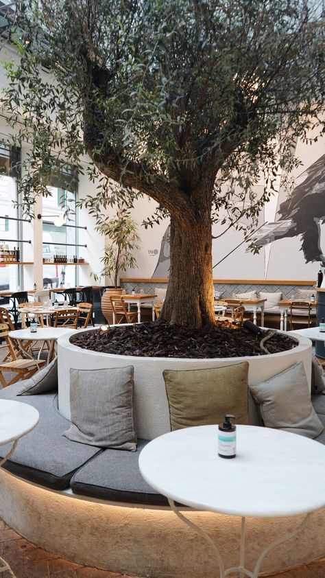 INTERIORS — ELLEN LAI PHOTOGRAPHY Outdoor Cafeteria, Italian Restaurant Decor, Riad Marrakech, Outdoor Restaurant Design, Indoor Tree, Retail Space Design, Cafe Seating, Cafe Garden, Cafe Shop Design