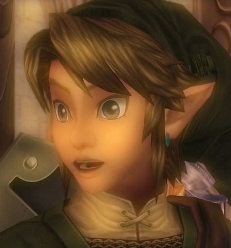 Twilight Princess Link Pfp, Twilight Princess Pfp, Zelda Pfp Aesthetic, Twilight Princess Icon, Link Zelda Twilight Princess, Link Icon Zelda, Twilight Link, Link Pfp, Twilight Princess Link