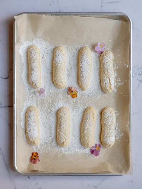 Homemade Lady Fingers + Sourdough Option - Coco et sel Lady Fingers Recipe, Sourdough Discard, Lady Fingers, Piping Tips, Holiday Cooking, Baking Sheets, Vanilla Extract, Food Print, Italian Recipes