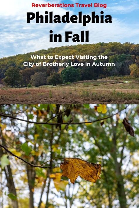 There's more than fall foliage in Philadelphia to enjoy in autumn. From fewer crowds to fun festivals, there are lots of fall things to do in Philadelphia. #philadelphia #philly #visitphilly #fall #autumn Things To Do In Philadelphia Fall, Fall In Philadelphia, Visiting Philadelphia, Pennsylvania Fall, California With Kids, Things To Do In Philadelphia, Visit Philly, Visit Philadelphia, Pennsylvania Travel