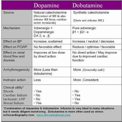 dobutamine | ... dobutamine and what is the clinical significance dopamine dobutamine 2 Paramedic School, Nursing Information, Nurse Anesthetist, Pharmacology Nursing, Cardiac Nursing, Nursing School Survival, Critical Care Nursing, Nursing School Studying, Nursing School Tips