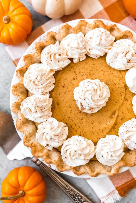 Biscoff Crust, Pumpkin Chiffon, Pumpkin Chiffon Pie, Chiffon Pie, Best Pumpkin Pie Recipe, Train Pumpkin, Pumpkin Pie Recipe Easy, Thanksgiving Pumpkin Pie, Best Pumpkin Pie