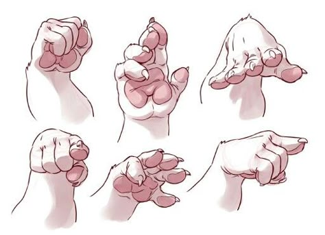 Paw-like hands #anthro Paw Drawing, Hand Drawing Reference, Body Drawing, Anatomy Art, Art Poses, Art Tutorials Drawing, Drawing Base, Drawing Poses, Drawing Reference Poses