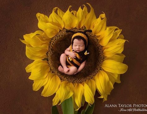 Babygirl Photoshoot Ideas, Born Baby Photoshoot, Newborn Quotes, Baby Photo Shoot Ideas, Diy Newborn Photography, Foto Newborn, Baby Backdrop, Baby Announcement Pictures, Baby Photoshoot Ideas