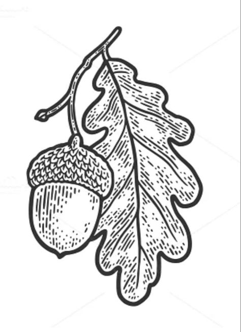 Oak Leaf Acorn Tattoo, Tattoo Oak Leaf, Oak Leaf Illustration, Oak Leaves Tattoo, Oak Leaf Drawing, Simple Wood Burning Patterns, Oak Leaf Tattoo, Neverland Tattoo, Pine Cone Drawing