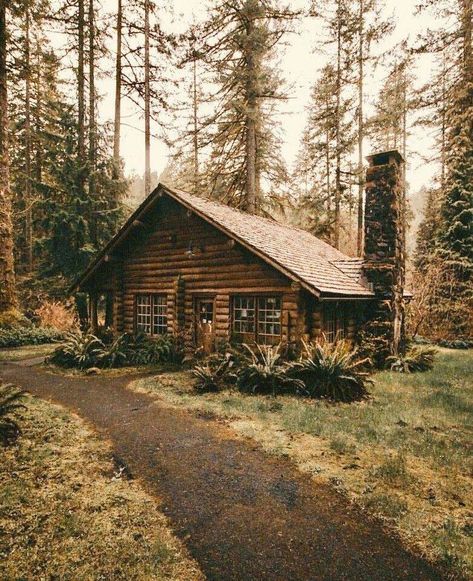 Cabin Aesthetics, Wooden Shack, Background Reference, Old Cabins, Forest Life, Old Cabin, Log Cabin Living, Little Cabin In The Woods, Log Home Interiors