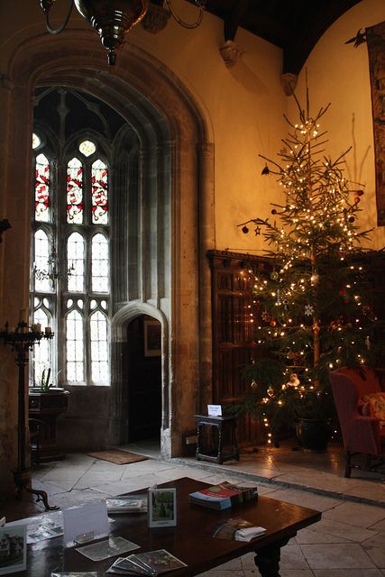 Athelhampton House, Dark Academia Christmas, Dark Christmas, Hogwarts Aesthetic, Christmas Feeling, Brasov, Winter Wonder, Christmas Mood, Winter Aesthetic