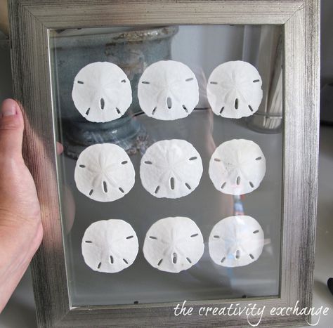 Tutorial for how to make double sided glass frames for displaying shell collections. Can do this with extra large or small frames {The Creativity Exchange} The Creativity Exchange, Sand Dollar Craft, Sand Dollar Art, Shell Display, Creative Wall Decor, Sand Dollars, Shell Collection, Beachy Decor, Beach Diy