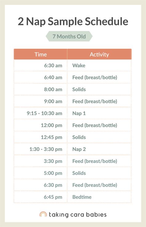 6 Month Sleep Schedule, 10 Month Old Schedule, 9 Month Old Schedule, 6 Month Old Sleep, Taking Cara Babies, Wake Windows, Sleep Regressions, Uppfostra Barn, Moms On Call