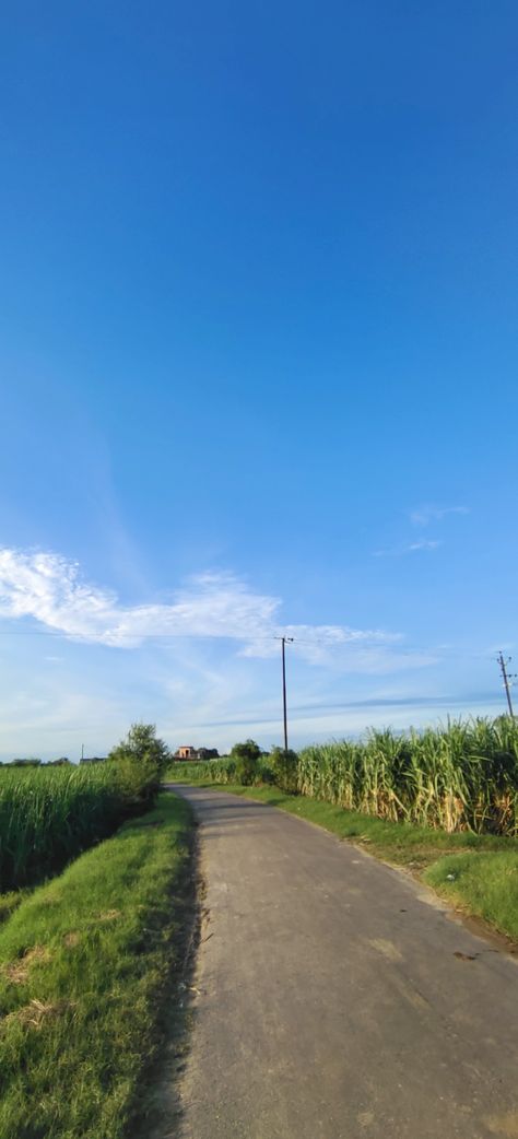 Beautiful sky sunny day clear sky clouds road nature sunshine Sunny Aesthetic Sky, Sunny Sky Wallpaper, Indian Village Aesthetic, Village Life Aesthetic, Clear Sky Aesthetic, Sunny Days Aesthetic, Sunny Day Aesthetic, Village Vibes, Road Pictures