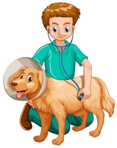 Vet Clipart, Veterinary Surgery, Pet Vet, Dog Vector, Free Dogs, 3d Cartoon, Animal Clipart, Animals Images, Beautiful Nature Scenes