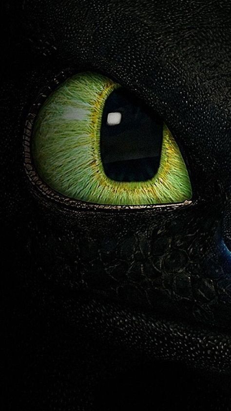 Wallpaper Toothless Wallpaper, Dragon Wallpaper Iphone, Toothless Dragon, Dragon Trainer, Wallpaper Tumblr, Night Fury, Train Your Dragon, Dragon Eye, Cute Disney Wallpaper