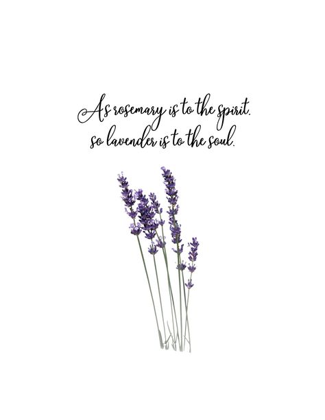 Rosemary Quotes, Lavender Sayings Quotes, Quotes Lavender, Quotes About Lavender, Herb Quotes, Lavender Quotes Aesthetic, Paper Boat Memories, Lavender Quotes, Anime Lips