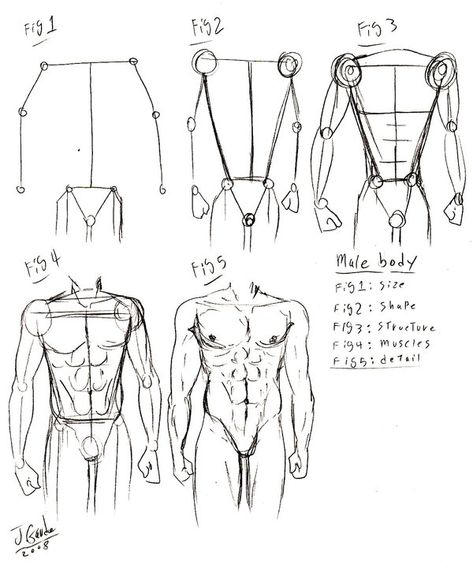 Body Tut, Male Body Drawing, Human Body Drawing, Body Tutorial, Drawing Body Poses, Anatomy Tutorial, Human Anatomy Drawing, Body Sketches, Body Drawing Tutorial