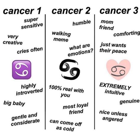 Zodiac Signs Chart, Best Zodiac Sign, Zodiac Funny, Spiritual Stuff, Zodiac Sign Traits, Zodiac Signs Horoscope, Zodiac Signs Funny, Zodiac Memes, Zodiac Signs Astrology