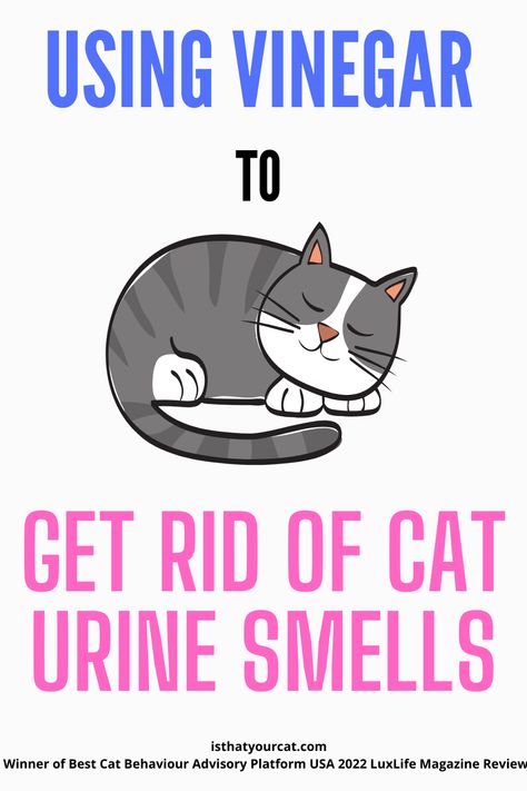 Cat Urine Smell Remover Odor Eliminator, Remove Cat Urine Smell From Carpet, Diy Cat Urine Odor Remover, How To Get Cat Pee Smell Out Of Wood, Neutralize Cat Urine Odor, Cat Spray Smell How To Remove, How To Remove Cat Urine Smell, Get Rid Of Cat Urine Smell, How To Get Rid Of Cat Urine Smell