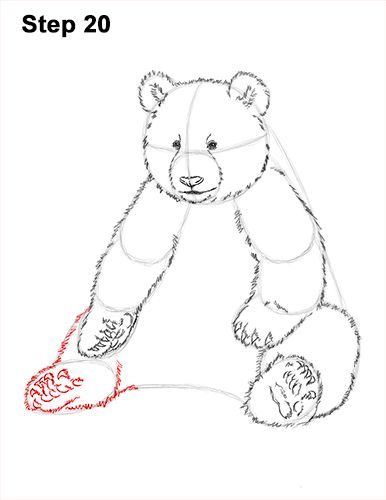 Image result for sketch bear sitting shapes Draw Panda, Draw A Panda, Panda Sitting, Step By Step Sketches, Bear Sketch, Drawing Instructions, Panda Drawing, Nature Sketch, Bear Drawing