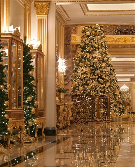 White House Christmas Tree, Luxury Christmas Decor, Holiday Decor Ideas, Diy Christmas Lights, White House Christmas, The Spirit Of Christmas, Christmas Dreaming, Royal Christmas, Dream Wedding Decorations