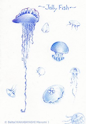 2013_08_04_jelly fish_01_s Summer! I want to go to the sea.  for this drawing I used: Faber castell polychromos Stonehenge paper  © Belta(WAKABAYASHI Mayumi ) Jelly Fish Color Pencil Drawing, Sea Life Artwork, Jellyfish Drawing, Faber Castell Polychromos, Art Charcoal, Fish Drawings, Most Beautiful Animals, Paper Ideas, Jelly Fish