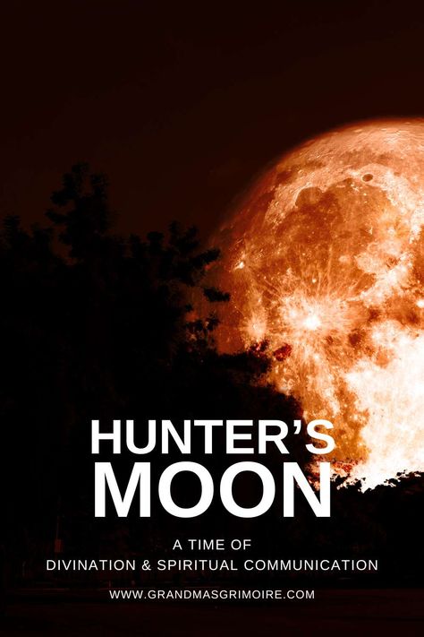 Hunter's Moon 2024 » Grandma's Grimoire Samhain Divination, Ancestral Veneration, Samhain Celebration, Hunter Moon, Hunters Moon, Spiritual Communication, Pagan Traditions, Next Full Moon, Magic Moon