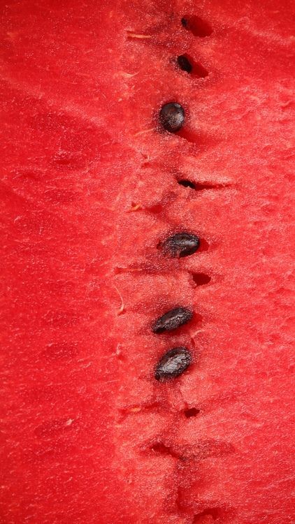 Foto Macro, Watermelon Pattern, Simply Red, Pink Stars, Red Aesthetic, World Of Color, Red Hot, Shades Of Red, Ruby Red