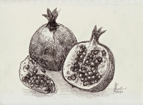 Pen drawing of pomegranates. Pomegranate Sketch Drawing, Pomegranate Pencil Drawing, Pomegranate Sketch, Pomagranet Art, Pomegranate Drawing, Biro Drawing, Dotted Drawings, Pomegranate Art, Fruits Drawing