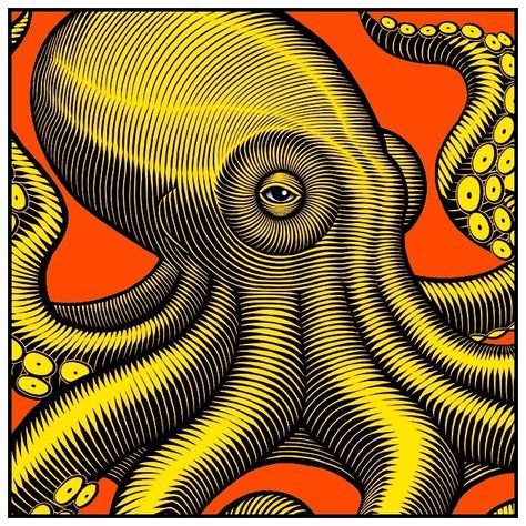 Octopus Eye, Octopus Eyes, Octopus Art, How To Make Comics, Diy Rug, Graphic Arts, Mellow Yellow, The Deep, Art Abstract