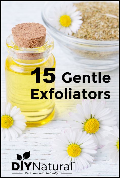 If you have sensitive skin you need to use a gentle exfoliator. This list of 15 gentle exfoliation solutions is just what the doctor ordered! Stinging Nettle, Natural Beauty Diy, Diy Facial, Homemade Bbq, Homemade Cleaning Products, Natural Exfoliant, Facial Exfoliator, Oily Skin Care, Gentle Exfoliator