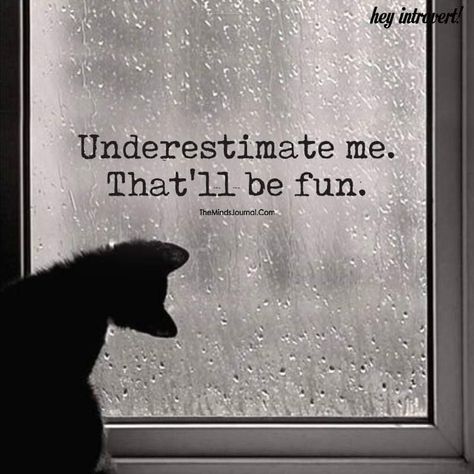 Yes, that will be fun Underestimate Me, Whatsapp Web, Breakup Quotes, Fun Quotes, Believe In You, Just Love, Cute Cats, Best Quotes, Computer