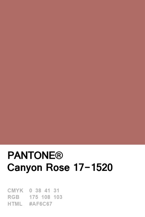 Pantone Canyon Rose 17-1520 Colour of The Day 08 January Color Palette Pantone, Rose Color Palette, Canyon Rose, Deco Pastel, Pantone Swatches, Pantone Palette, Pantone Colour Palettes, Deco Studio, Color Of The Day