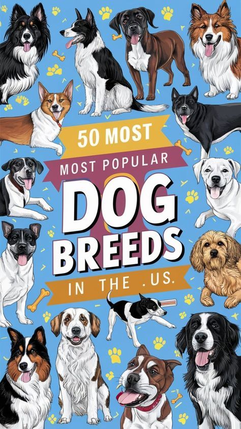 Medium Dogs Breeds, All Dog Breeds, Top Dog Breeds, Tallest Dog, Popular Dog Breeds, Most Popular Dog Breeds, Herding Dogs, Lap Dogs, Water Dog