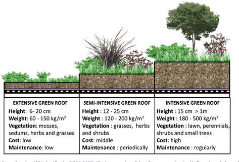 Green Roof Planting, Extensive Green Roof, Types Of Green, Green Roof Garden, Green Roof Building, Green Roof System, Grass Roof, Roof Garden Design, Urban Heat Island