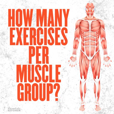 Arm Muscle Groups, Muscle Group Workout, Muscle Groups To Workout, Workout Planning, Group Workout, Invest In Your Health, Get Shredded, Natural Alternatives, Fun Fitness