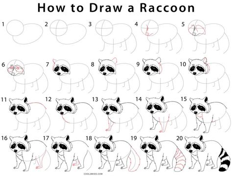 How to Draw a Raccoon (Step by Step Pictures) | Cool2bKids Draw Raccoon, Raccoon Eyes, Raccoon Drawing, Raccoon Art, Cute Raccoon, Elementary Art Projects, Animal Sketches, Racoon, Art Drawings For Kids