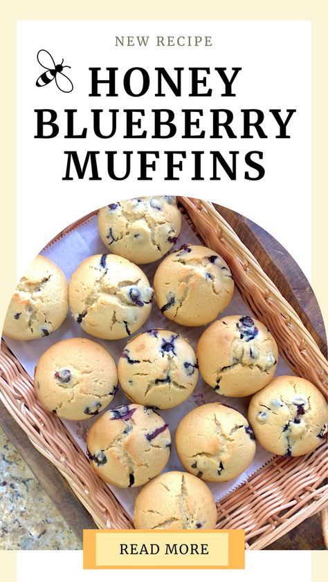 Blueberry Muffins With Honey, Blueberry Orange Muffins, Honey Muffins, Honey Wheat, Muffin Recipes Blueberry, Blueberry Bushes, Oatmeal Muffins, Honey Oatmeal, Blueberry Muffin