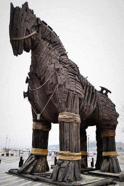 Ancient Troy, City Of Troy, Greek Soldier, Trojan Horse, Harvey Norman, Greek Tattoos, Greek History, Greek And Roman Mythology, Wooden Horse