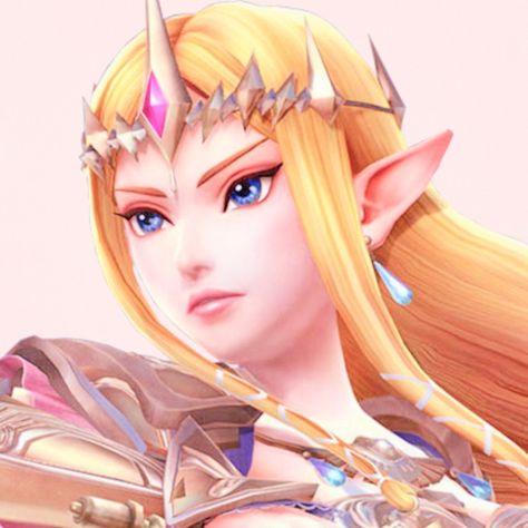 Zelda Icon, Zelda Hyrule Warriors, Legend Of Zelda Characters, Princesa Zelda, Nintendo Princess, Zelda Twilight Princess, Hyrule Warriors, Link Zelda, Zelda Art