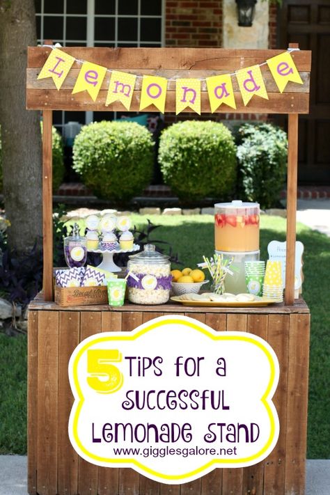 5 Tips for a Successful Lemonade Stand! #lemonadestand #diy #summer Kids Lemonade Stands, Diy Lemonade Stand, Kids Lemonade, Diy Lemonade, Lemonade Bar, Best Lemonade, Summer Lemonade, Lemonade Party, Lemonade Recipes