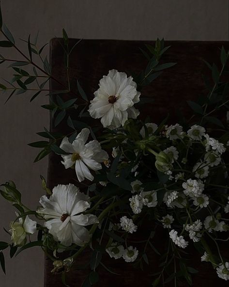 Dark Green Aesthetic, Nothing But Flowers, Dark Paradise, Flower Therapy, Foto Ideas Instagram, Dark Photography, Night Aesthetic, Nature Aesthetic, White Aesthetic