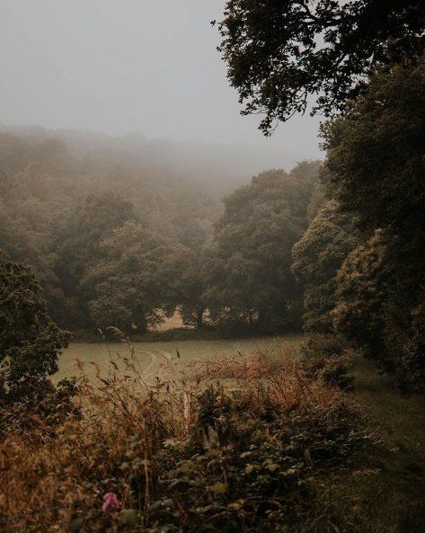 Autumn Princess, Gorgeous Landscapes, Light City, Breath Of Life, Ready For Autumn, Countryside Landscape, Ready For, Dark Autumn, Romantic Goth