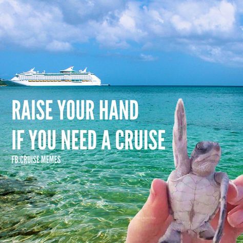 Cruise Memes Funny, Cruise Humor, Cruise Memes, Vacation Quotes Funny, Cruise Quotes, Group Cruise, Cruise Pictures, Cruise Excursions, Vacation Quotes