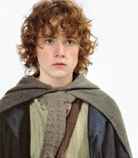 Frodo Baggins Hair, Frodo Hair, Hobbit Haircut, Lord Of The Rings Hair, Hobbit Hair, Going Merry, Lotr Cast, Frodo Baggins, The Shire