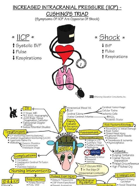 Nursing review Icp Nursing, Assessment Nursing, Pharmacology Mnemonics, Neurology Nursing, Pathophysiology Nursing, Memory Notebook, Paramedic School, Lpn Schools, Med Surg Nursing