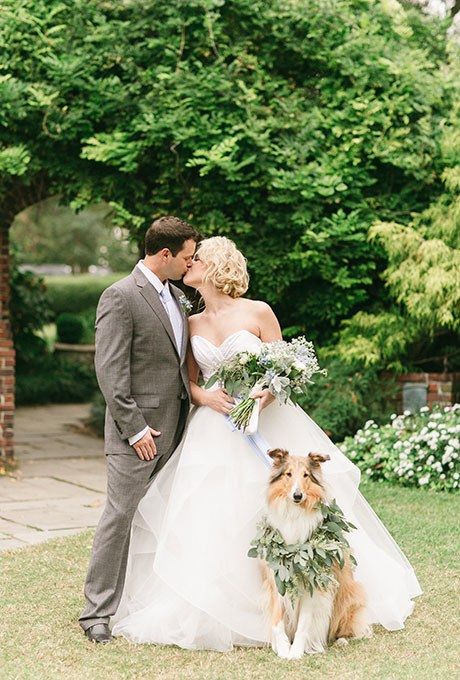 Stunning Wedding Venues, Garden Reception, Oahu Wedding, Wedding Pets, Real Weddings Photos, Brides Wedding Dress, Dog Wedding, Real Couples, Bride Bouquets