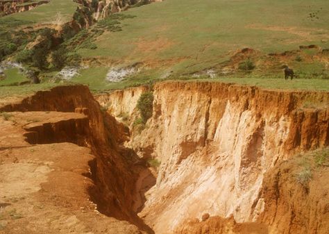 Soil Erosion and Control Measures Gully Erosion, Water Erosion, Flood Mitigation, Soil Erosion, Water Trough, Agriculture Education, Erosion Control, Drawn Map, Soil Layers