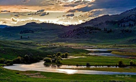 Slough Creek Lamar Valley MT Lamar Valley, The Big Blue, Big Blue, Small Towns, In America, Montana, Blue Sky, Golf Courses, Phone Wallpaper