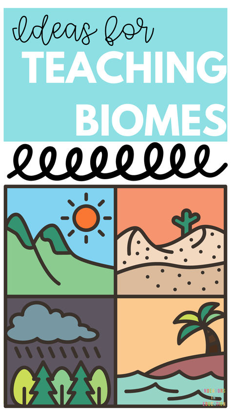 Looking to teach your students about biomes? This comprehensive blog post is a must-read for elementary science teachers! It covers engaging activities through detailed explanations, this blog post will help you bring the diverse world of biomes to life in your classroom. Perfect for enhancing your science lessons and keeping your students excited about learning. Pin this for your next lesson plan! #ElementaryScience #TeachingBiomes #ScienceActivities #ClassroomIdeas #TeacherTips Teaching Biomes, Biomes Activities, Biology Lesson Plans, Elementary Science Teacher, Elementary Classroom Themes, 4th Grade Science, Biology Lessons, Teaching Practices, Elementary Science