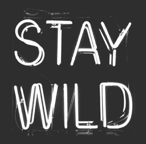 Stay Wild instagram instagram pictures instagram graphics instagram quotes stay wild Western Aesthetic Wallpaper, Cowboy Photography, Pixel Led, Western Quotes, Country Backgrounds, Western Photo, Western Photography, Western Wallpaper Iphone, Vision Board Pictures