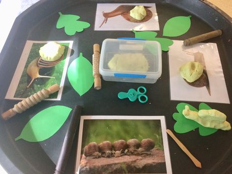 Snail themed play dough area. Make a snail for a leaf  #finemotor #playdougharea #funkyfingers. #thesnailandthewhale #juliadonaldson Playdough Area, Snail And The Whale, Insect Activities, Funky Fingers, Baby Sensory Play, Eyfs Activities, Preschool Activity, Baby Sensory, Play Dough